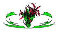 Gymea NSW Sydney Private Schools