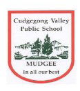 Cudgegong Valley Public School - Sydney Private Schools 0