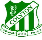 Colyton Public School - Sydney Private Schools