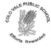 Colo Vale Public School - Sydney Private Schools