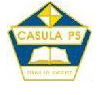 Casula Public School - Sydney Private Schools