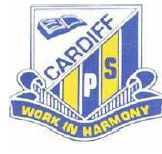Cardiff Public School - Sydney Private Schools