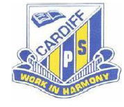 Cardiff Public School - Sydney Private Schools 0