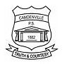 Camdenville Public School - Sydney Private Schools
