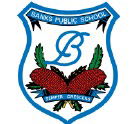 Banks Public School - Sydney Private Schools