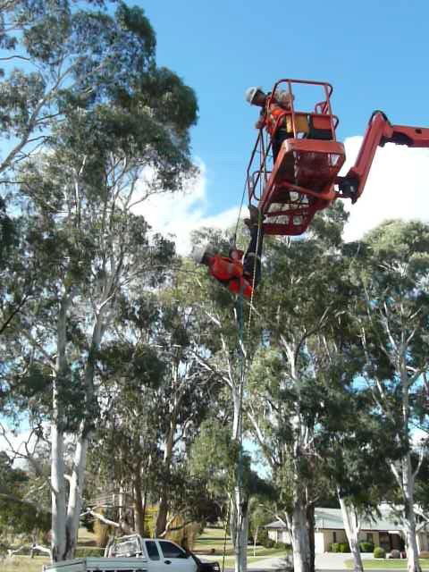 Integral Skills - Sydney Private Schools 2