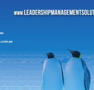 Leadership amp Management Solutions Pty Ltd - Sydney Private Schools