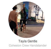 Cohesion Gym - Sydney Private Schools