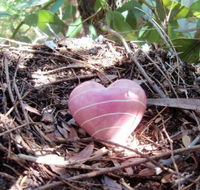 Adelaide Mindfulness - Sydney Private Schools
