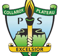 Collaroy Plateau Public School - Sydney Private Schools