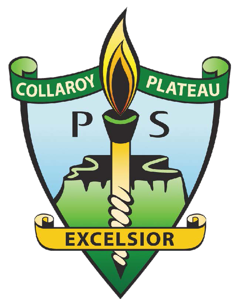 Collaroy Plateau Public School - Sydney Private Schools 0