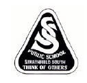 Strathfield South Public School - Sydney Private Schools