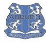 Auburn Public School - Sydney Private Schools