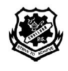 Chullora Public School - Sydney Private Schools 0