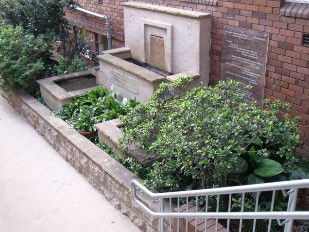 St Charles Primary School - Sydney Private Schools 7