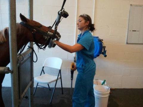 Pacific Vetcare - Sydney Private Schools 9
