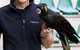 Pacific Vetcare - thumb 3