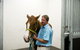 Pacific Vetcare - thumb 2
