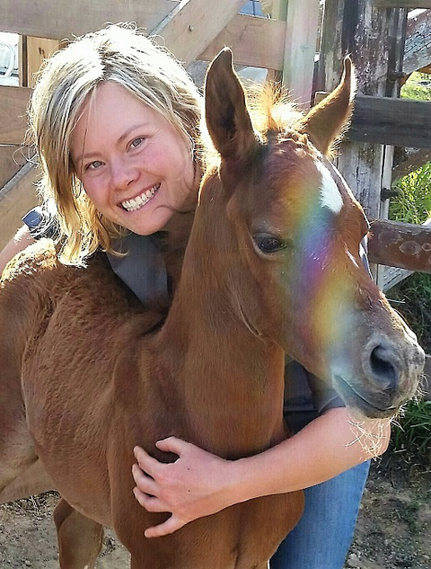 Grafton Veterinary Clinic - Sydney Private Schools 2