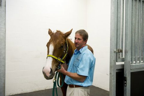Pacific Vetcare - Sydney Private Schools 2