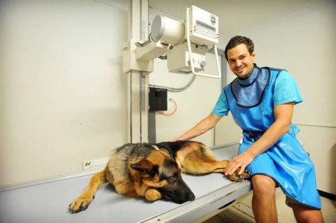 Pacific Vetcare - Sydney Private Schools 0