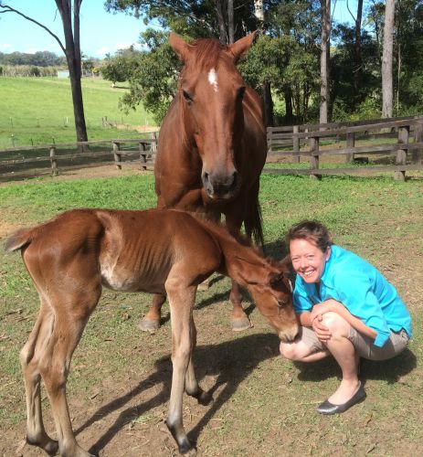 Pacific Vetcare - Sydney Private Schools 5