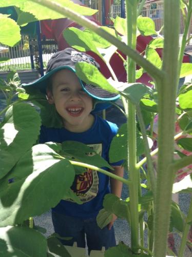 Central Gardens Childcare - Sydney Private Schools 1