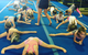 Buritz Gymnastics Academy - thumb 2