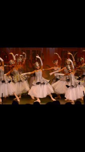 Noosa Professional Dance Academy - Sydney Private Schools 3