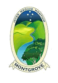 Montgrove College - Sydney Private Schools