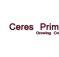 Ceres Primary School - Sydney Private Schools