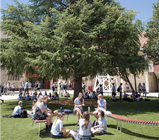St Columba's Catholic College, Springwood - Sydney Private Schools 4