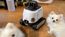 AI robot may stop your dog from barking while you're gone Sydney Private Schools