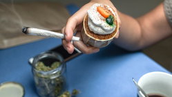 Cannabis cafes may become tourist draw in US city as lung experts cite 'toxic chemical' concerns Sydney Private Schools
