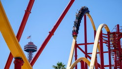 Popular amusement park bans guest for life after roller coaster stunt viral video Sydney Private Schools