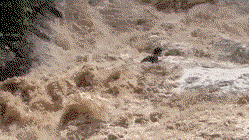 Tourists cling to each other in desperate struggle as raging flood sweeps them down waterfall Sydney Private Schools